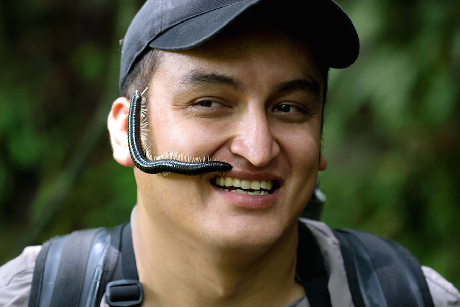 Our great guide Nelson had a close encounter with a millipede