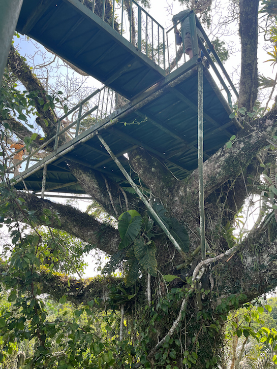 The canopy tower at Napo Cultural Center