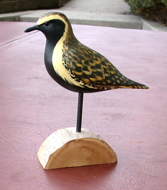 Golden-plover
